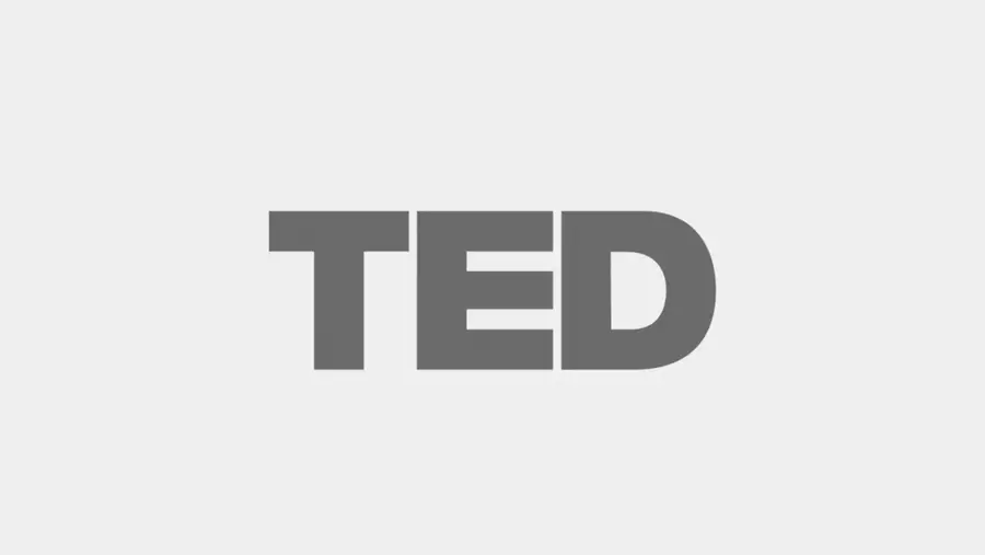 最终方案 TED 标志生成动图